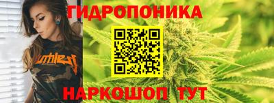 шишки Тулун