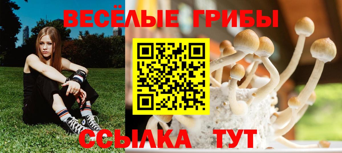 Псилоцибиновые грибы мухоморы Асбест