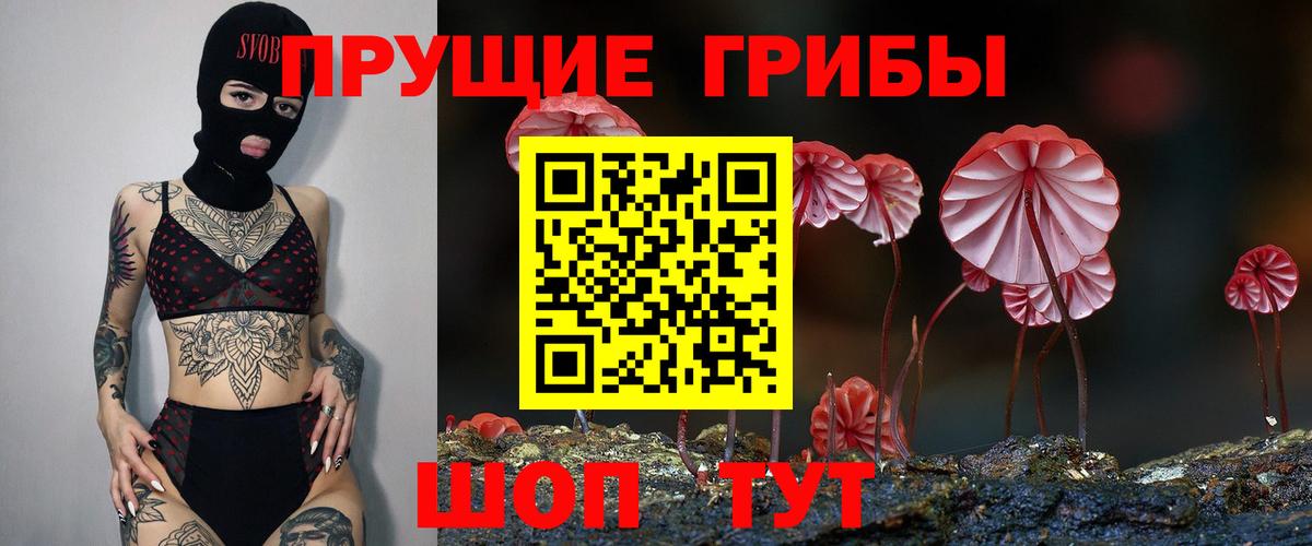 Асбест  Псилоцибиновые грибы GOLDEN TEACHER  Вход с VPN  Галлюциногенные грибы GOLDEN TEACHER 