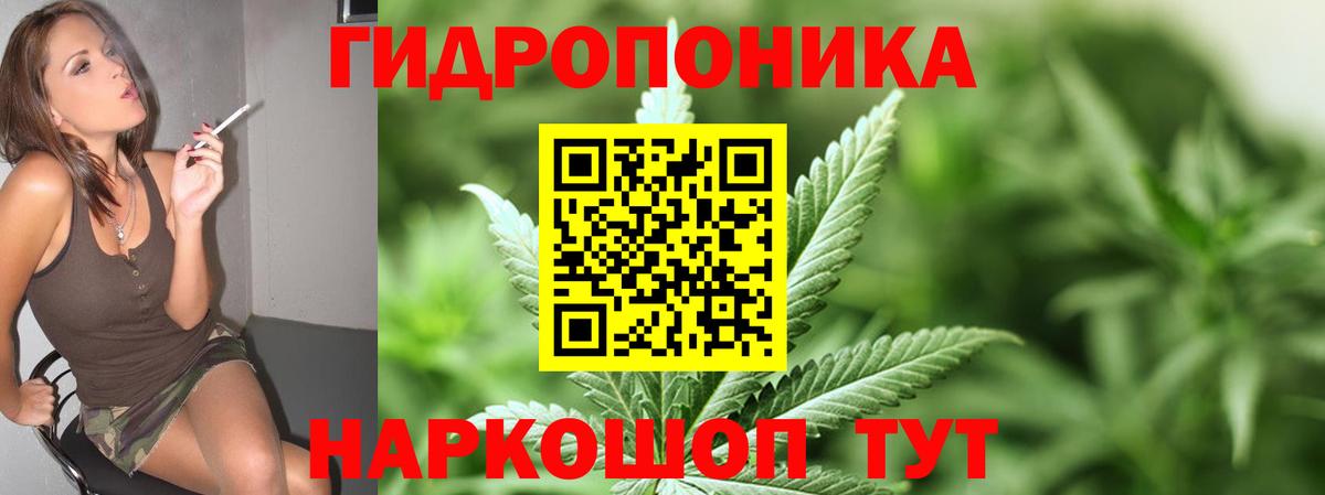 Конопля сатива Асбест